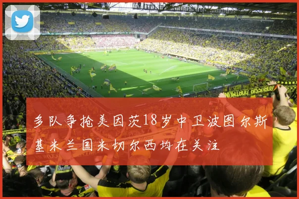多队争抢美因茨18岁中卫波图尔斯基米兰国米切尔西均在关注